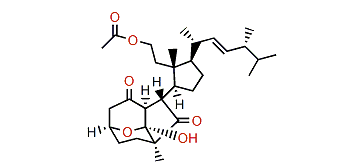 Pinnigorgiol D